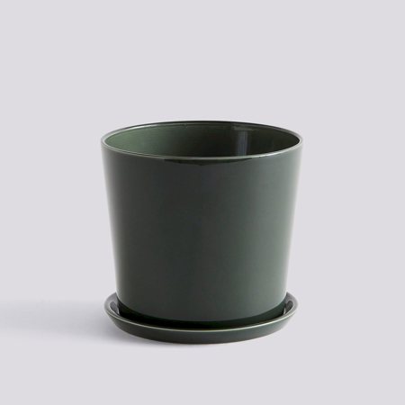 BOTANICAL FAMILY SET - Large - Dark Green